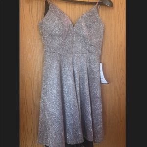 ✨Never worn! Sparkling silver dress & Tag Attached